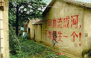 计划生育政策的来龙去脉-中国民主党计划生育观察报告（2013年）