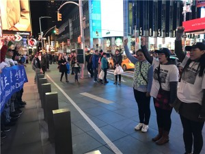 IMG_5910