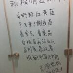 胡彦淇：”推翻共产党”标语 另一种”厕所革命”