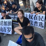 8/17/2019 中国民主党组团参加纽约港人声援香港民主集会和游行