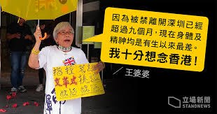 林宇：抗议中共暴政 声援“王婆婆”