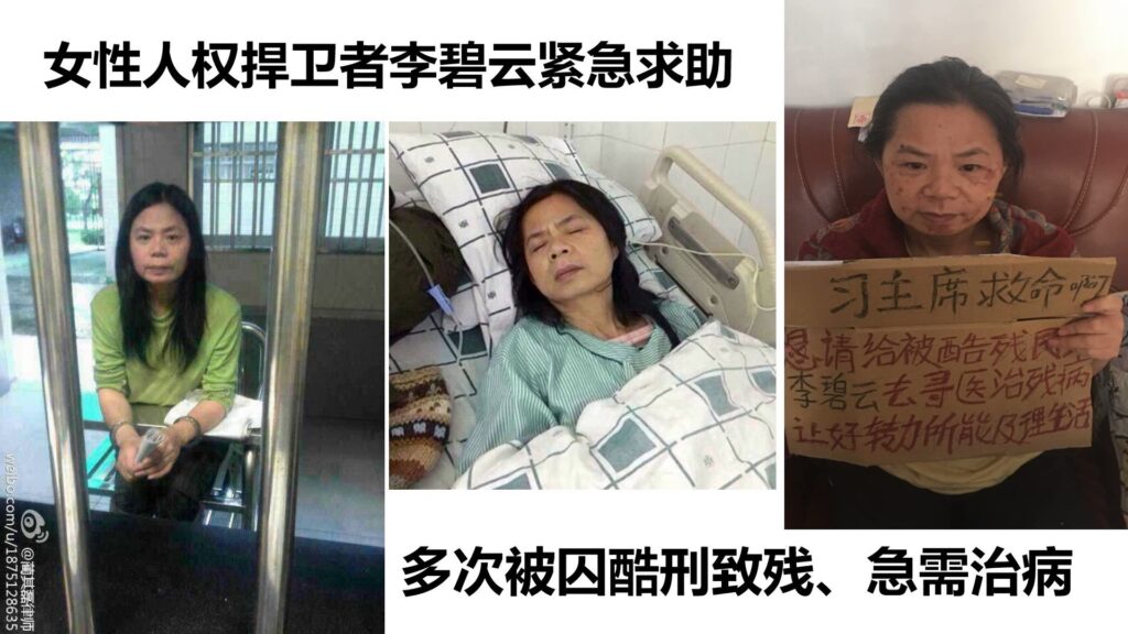 中国民主党全委会就李碧云女士出狱一年仍遭软禁发表公开声明