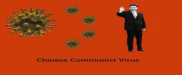 郑晞：武汉肺炎 中共病毒！